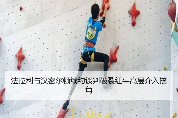 fa-la-li-yu-han-mi-er-dun-xu-yue-tan-pan-po-lie-hong-niu-gao-ceng-jie-ru-wa-jiao-3-613.jpg